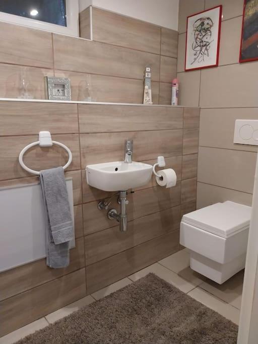 Appartement Einliegerwohnung In Gissigheim Konigheim