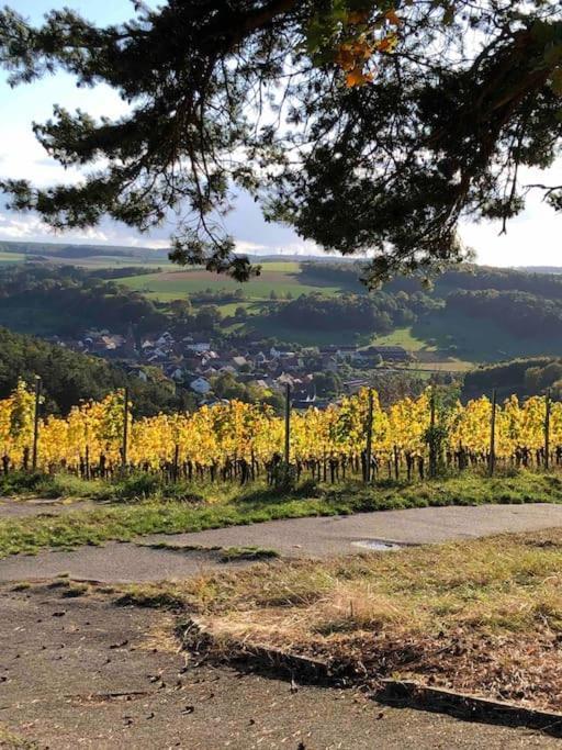 Appartement Einliegerwohnung In Gissigheim *